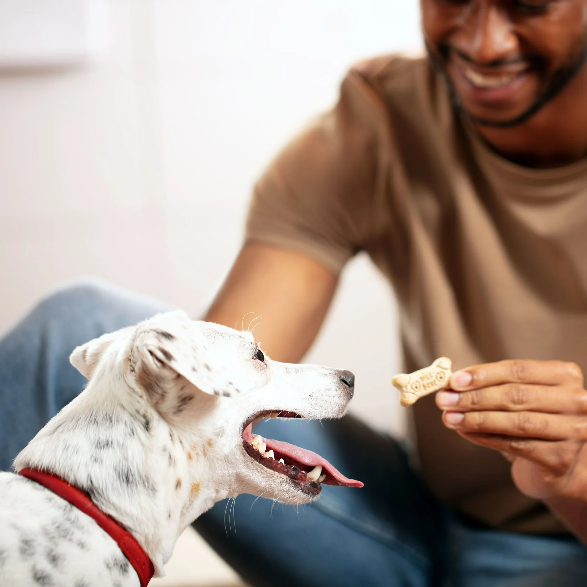 Milk Bone Original Biscuits, Medium Dog Treats, 24 oz - Image 2