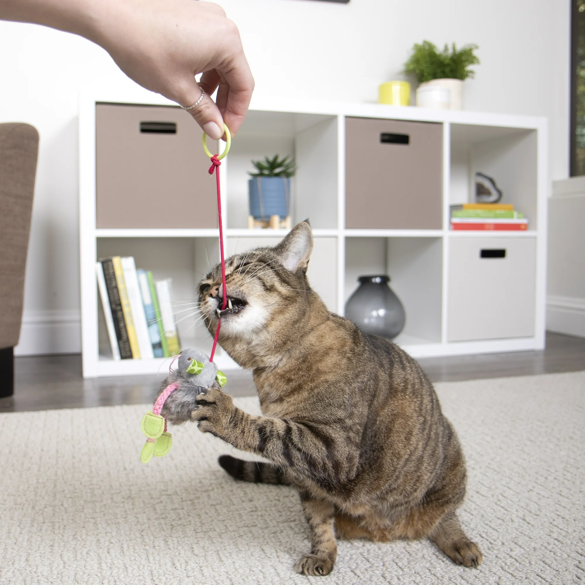 SmartyKat Bouncy Mouse Interactive Bungee Cat Toy - Image 5